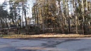 в УПЦентре ЛВВИСКУ им. Комаровского