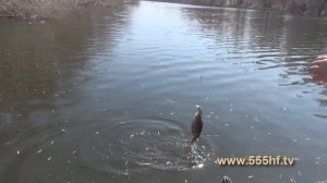 Поиск хищника на незнакомом водоеме  