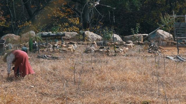 그라데이션으로 물들어 가는 숲속 오두막 ? / 상록수 심고 퇴비주기 / 구근심기 시작. EP.61 смотреть онлайн
