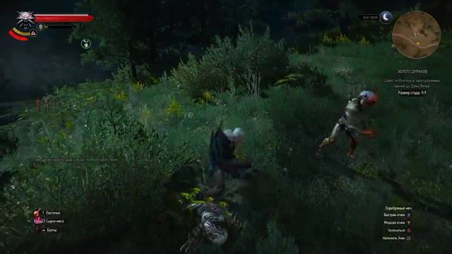 The Witcher 3 Золото Дураков конец квеста смотреть онлайн