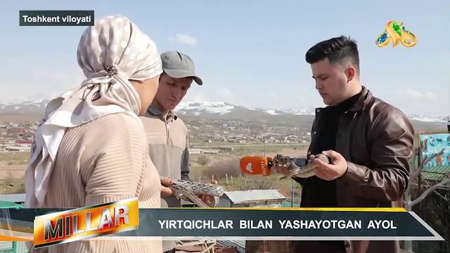 13 TA YIRTQICH SHERLAR VA ILONLAR BILAN YASHAYOTGAN DOVYURAK AYOL