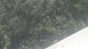 Кот и гром!!!  Какой чудесный день..!!! Гроза в Москве...