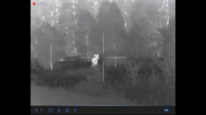 Лось в тепловизоре LONGOT LY650. 120 м.