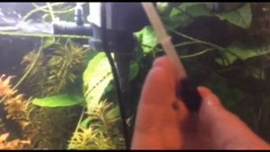 Снижение шума от аэрации через помпу.