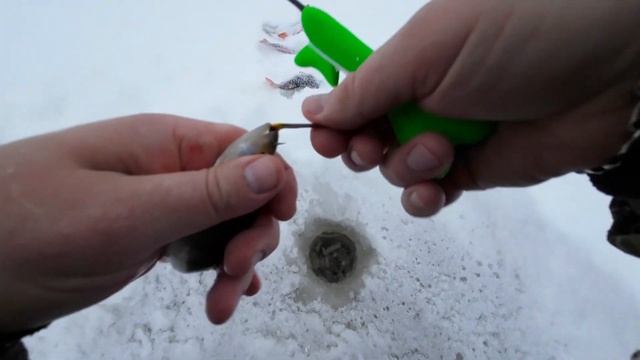 За щукой на мотособаке  #зимняярыбалка #щуканажерлицы #щука смотреть онлайн