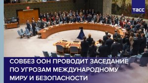 Совбез ООН проводит заседание по угрозам международному миру и безопасности