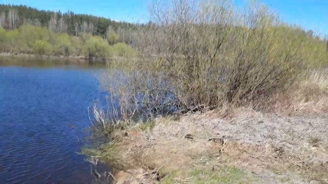 2 Дня рыбалки. Поиск перспективных мест!!! Рыбалка на Березине #рыбалка #фидер #лещ #плотва