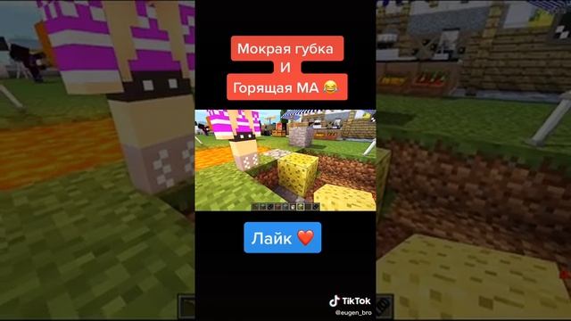 МОКРАЯ ГУБКА ИЛИ ГОРЯЩАЯ МА(Евген Бро Майнкрафт)