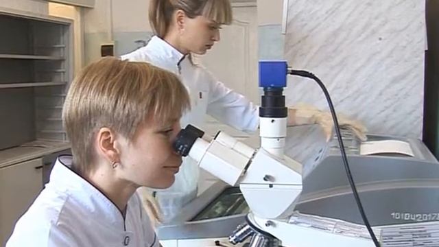 Колбаса под микроскопом