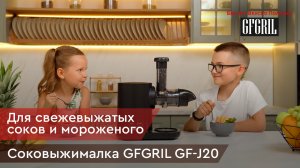 Соковыжималка GFGRIL GF-J20