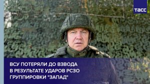 ВСУ потеряли до взвода в районе Благодатного в результате ударов РСЗО группировки "Запад"