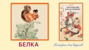 Евгений Чарушин. КТО КАК ЖИВЁТ: ЗАЯЦ. БЕЛКА. Малышам 4+