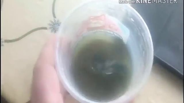 Как правильно чистить медные монеты. ЛУЧШИЙ СПОСОБ. смотреть онлайн