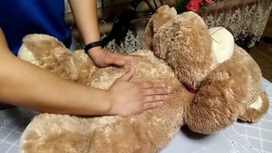 Акушерство. Приём Леопольда Левицкого