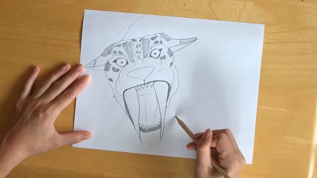 How to Draw a Saber-toothed Tiger Cat | Saber Tooth Feline Sketch Art | Move Groove Baby Drawing смотреть онлайн