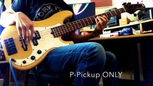 La Bella 760 Flat Wound Strings and a Marco PJ5 Bass
