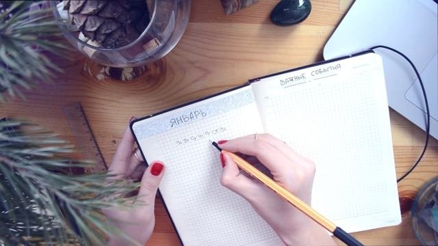 ЕЖЕДНЕВНИК | система планирования