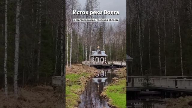 Доехал до истока Волги ? около озера Селигер, Тверская область