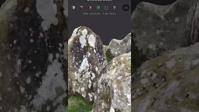 Lidar scan from a megalithic tomb