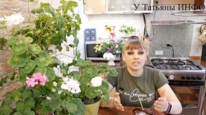 ВЕСЕННЯЯ ПОДКОРМКА / ЯНТАРНАЯ КИСЛОТА / для комнатных растений