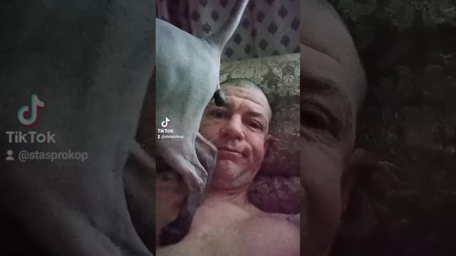 сфинкс