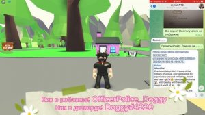 Проверка продавца. Инстаграмм магазин питомцев Adopt Me и многое другое.