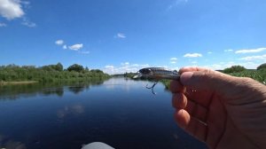 Охота на жереха