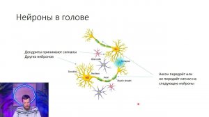 8.1 Нейросети