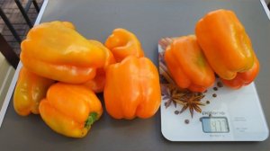 Обзор сортов сладкого перца