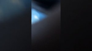 Полиция задерживает мальчика в Москве, читающего Гамлета