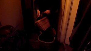 Короб для грибов с корзинкой