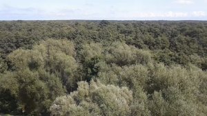 Жилой комплекс с квартирами комфорт-класса в Зеленоградске