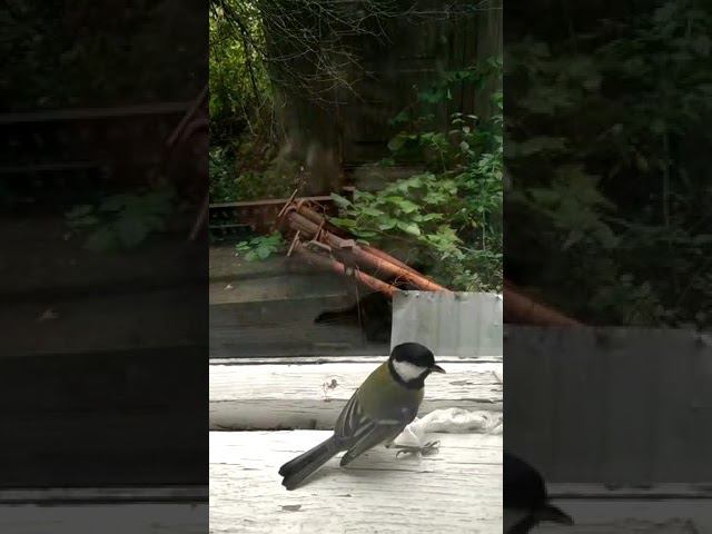 27 сентября 2022 г. смотреть онлайн