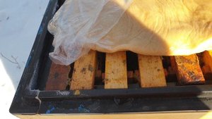 Опять -20! Открываем верхние летки. Зимовка пчёл 2021 г.