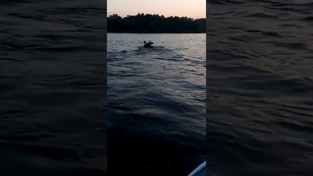 VID 20160626 034225 смотреть онлайн