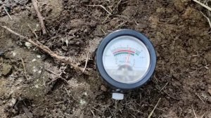 применение извести на огороде для меня стало нормой, растения не болеют