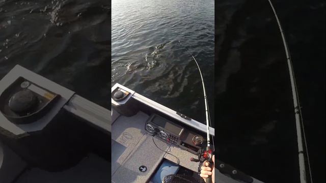 Summer nights up North смотреть онлайн