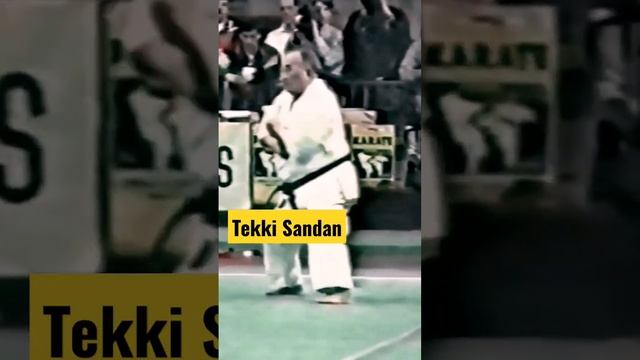 Kase sensei demonstrates  Tekki Sandan kata. #karate #kata #shotokan