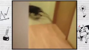 Собирайся, мы едем на дачу