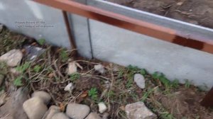 Забор из металлического штакетника
