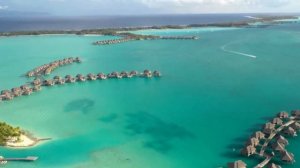 Д. Скарлатти. Соната фа минор. D. Scarlatti. Sonata in F minor.