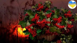 Ой у лузі червона калина. amazing sound