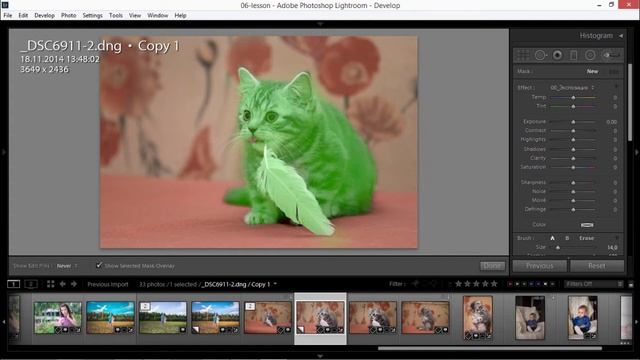 Как в лайтрум обработать портрет котенка? смотреть онлайн