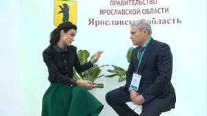 В Ярославской области выведут новую породу овец: скрестят романовскую породу с иранской