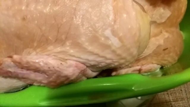 Бройлер Кобб 500 в 2 месяца. Живой вес и вес тушки смотреть онлайн