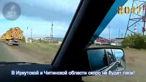 Куда уходит лес....
