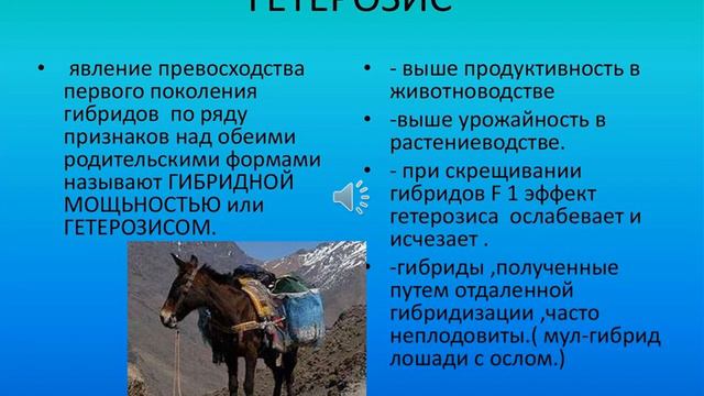 Гетерозис: найдено 72 изображений