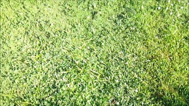 УДОБРЕНИЕ без УДОБРЕНИЙ