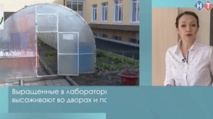 Проект "Школьный дендрарий"