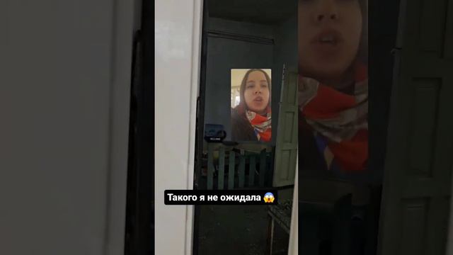 зоопарк удивил🤣 #зоопарк #биология #смех #зоология #кролик #животные #ржака смотреть онлайн